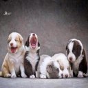 New Unity Project (1)