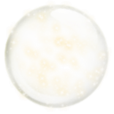 53d7e8f23aefc73a284dab97.apk