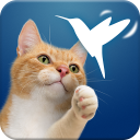 Friskies® Happy Wings (EU)