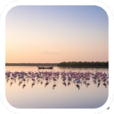 Thiruvallur District Places