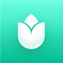 PlantIn Plant Identifier, Care