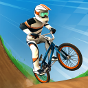 Mad Skills BMX 2