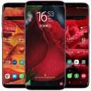 Full HD Rose Wallpaper