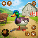 Village Duck Life Bird Game