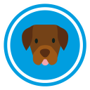 Dogstat - Phrases for your pet to share
