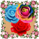 Rose Garden games offline