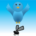 Eat Mosquito - many mosquitos