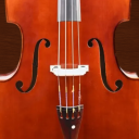 Professional Double Bass
