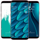 Teal Color  Wallpaper