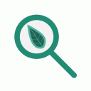 Kies Groener: Duurzaam Leven