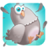 Stupid Pigeon