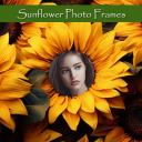 Sunflower Photo Frames Editor