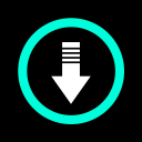 Video Downloader No Watermark