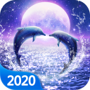 Dolphin live wallpaper