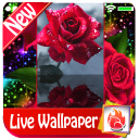 Red rose Live Wallpaper 2019 free Red rose LWP