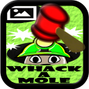 Whack a Mole