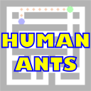 Human Ants