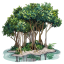 Cuddalore District Places