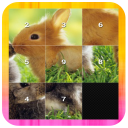 Slide Puzzle - Animal