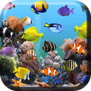 Aquarium Live Wallpaper