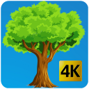 Wallpapers Naturaleza HD