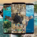 Sea Turtle Wallpaper