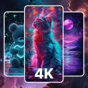 Waller: 4K, HD Wallpapers