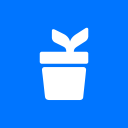 Kueski: Compras y Préstamos