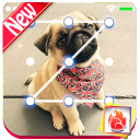 Cute Pug Puppy Lock Screen Pug Puppy Pattern Passcode 2019
