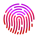Commerce Daily Attendance