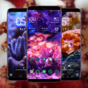 Coral Reef Wallpaper