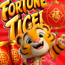 Fortune Tiger Crash
