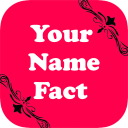 Your Name Fact | Your Name Mea